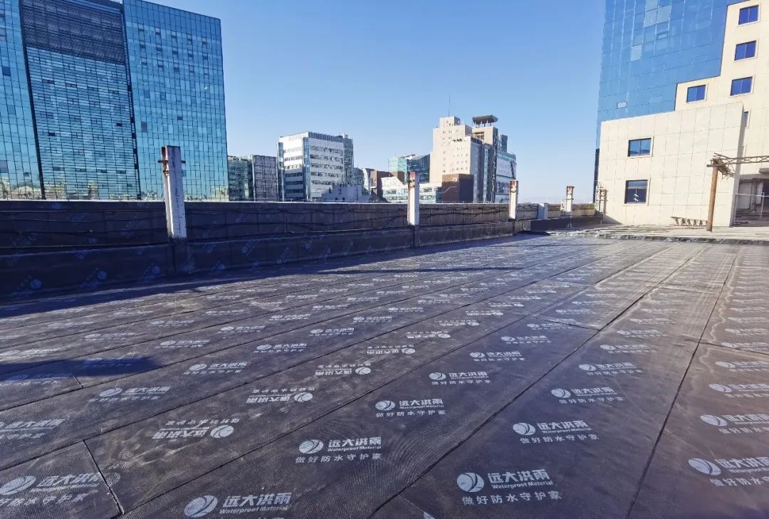 1670890068721281.jpg 1670890068721281.jpg